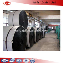 DHT-127 cold resistant strength nylon conveyor Belts